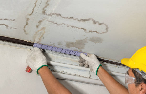Reliable Water Damage contractor in Sussex, NJ by Water Damage Irwin